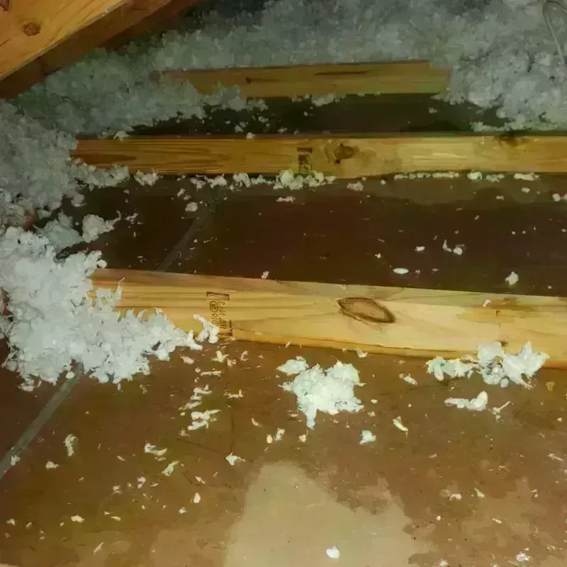 Attic Water Damage in Bergenfield, NJ